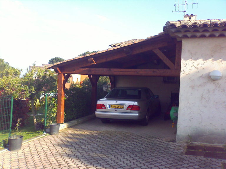 Abri voiture monopente