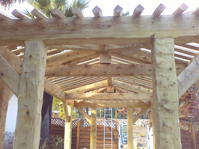 Toiture de pool house 2 pentes en bois